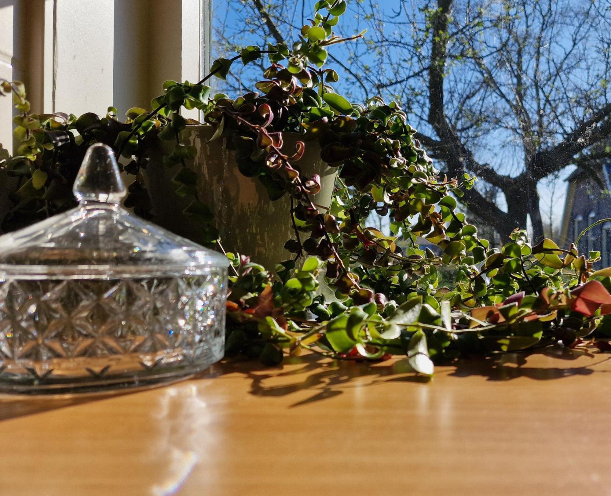 Whispering O - B&B Ermelo Speuld On The Veluwe Екстериор снимка